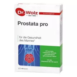 PROSTATA PRO Dr.Wolz kapsler, 2X20 stk