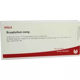 BRYOPHYLLUM COMP.ampules, 10x1 ml