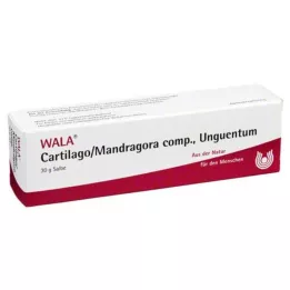CARTILAGO/Mandragora komp Unguentum, 30 g