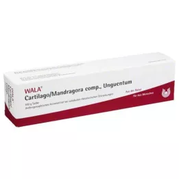 CARTILAGO/Mandragora komp Unguentum, 100 g