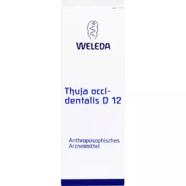 Thuja Occidentalis D12, 20 ml