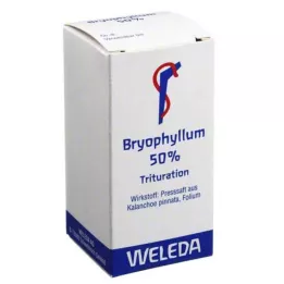BRYOPHYLLUM 50 % pulver til oral bruk, 20 g
