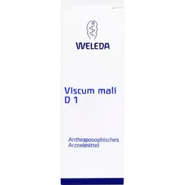 Viscum Mali D1, 50 ml
