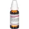 BAPTISIA D 2 Fortynning, 20 ml
