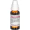 LATRODECTUS mactans D 8 Fortynning, 20 ml