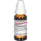 MANDRAGORA E radice siccata D 6 Fortynning, 20 ml