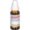 RHODODENDRON D 12 Fortynning, 20 ml