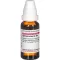 Spiraea Ulmar D 4, 20 ml