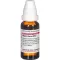 VIPERA BERUS D 12 Fortynning, 20 ml