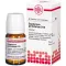 Eupatorium Perf D10, 80 stk