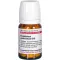 Eupatorium Perf D10, 80 stk