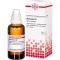 Hamamelis d 3, 50 ml