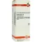 HYPERICUM D 6 fortynning, 50 ml