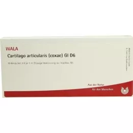 CARTILAGO articularis coxae GL D 6 ampuller, 10x1 ml