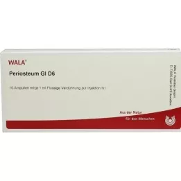 PERIOSTEUM GL D 6 Ampoules, 10x1 ml