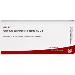 GLANDULA SUPRARENALES dextra GL D 8 ampuller, 10X1ml