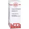 Clematis D12, 50 ml