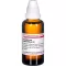 Eupatorium Perf D 4, 50 ml