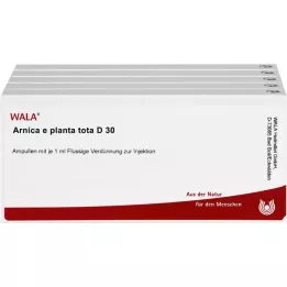 ARNICA E Planta Tota D 30 Ampoules, 50x1 ml
