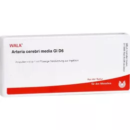 ARTERIA CEREBRI media GL D 6 ampuller, 10X1 ml