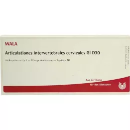 ARTICULATIONES intervertebral.cerv.GL D 30 Amp., 10X1 ml