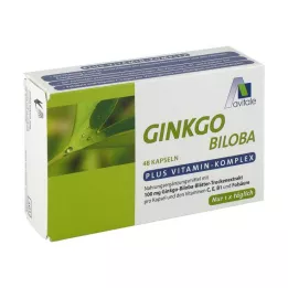 GINKGO 100 mg kapsler+B1+C+E, 48 stk