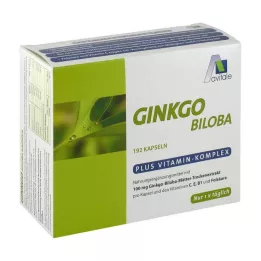 GINKGO 100 mg kapsler+B1+C+E, 192 stk