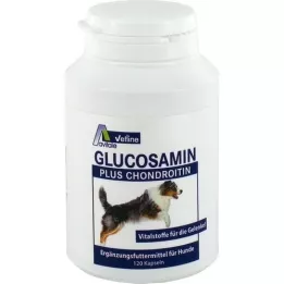 GLUCOSAMIN+CHONDROITIN Kapsler for hunder, 120 stk