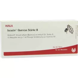ISCUCIN quercus Strength B ampuller, 10X1 ml