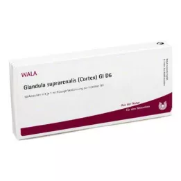 GLANDULA SUPRARENALES cortex GL D 6 ampuller, 10X1 ml