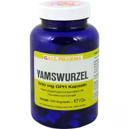 YAMSWURZEL 500 mg GPH kapsler, 120 stk