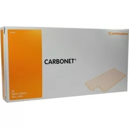 CARBONET 10x20 cm lukt