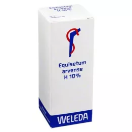 EQUISETUM ARVENSE H 10 % oljeaktig gni, 50 ml