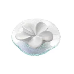DUFTSTEIN Frangipani Glasteller Transparent, 1 stk