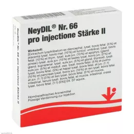 NEYDIL No.66 Pro Injectione stk.2 Ampoules, 5x2 ml