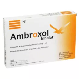AMBROXOL Inhalasjonsløsning for en forstøver, 20X2 ml