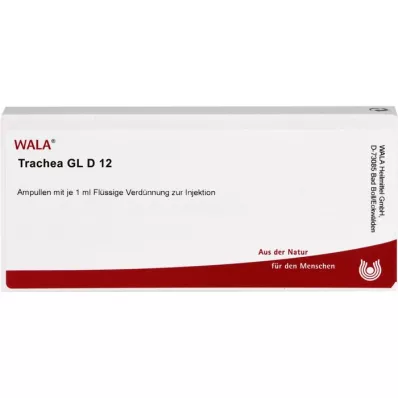 TRACHEA GL D 12 ampuller, 10X1 ml