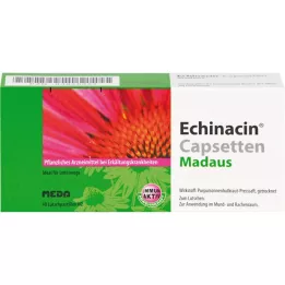 Echinacin Caps Setter Lowenges, 40 stk