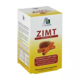 ZIMT KAPSELN 500 mg+Vitamin C+E, 120 stk