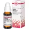 CEANOTHUS AMERICANUS D 3 Fortynning, 20 ml