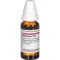 MANDRAGORA D 12 Fortynning, 20 ml