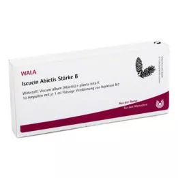 ISCUCIN abietis Styrke B Ampuller, 10X1 ml