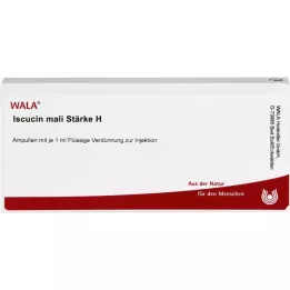 ISCUCIN Mali -styrke H ampules, 10x1 ml