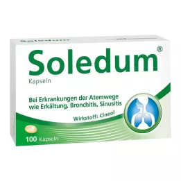 SOLEDUM 100 mg gastroresistente kapsler, 100 stk