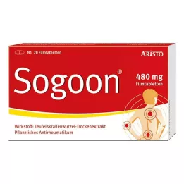 SOGOON 480 mg filmdrasjerte tabletter, 20 stk