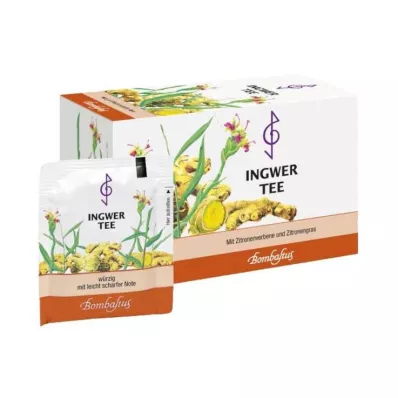 INGWER TEE Filterposer, 20X2 g