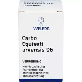 CARBO EQUISETI arvensis D 6 Triturering, 20 g