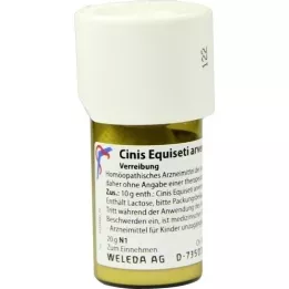 CINIS EQUISETI Arvensis D 3 Triturasjon, 20 g