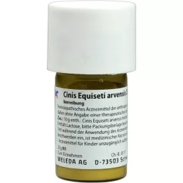 CINIS EQUISETI Arvensis D 6 Triturasjon, 20 g