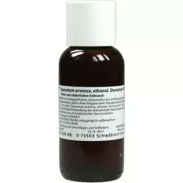 Equisetum Arven Etanol Decocottum 10%, 100 ml